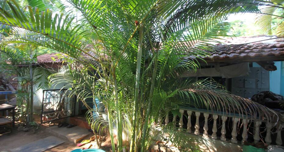 Temple Garden Cottages GOA, Goa 4